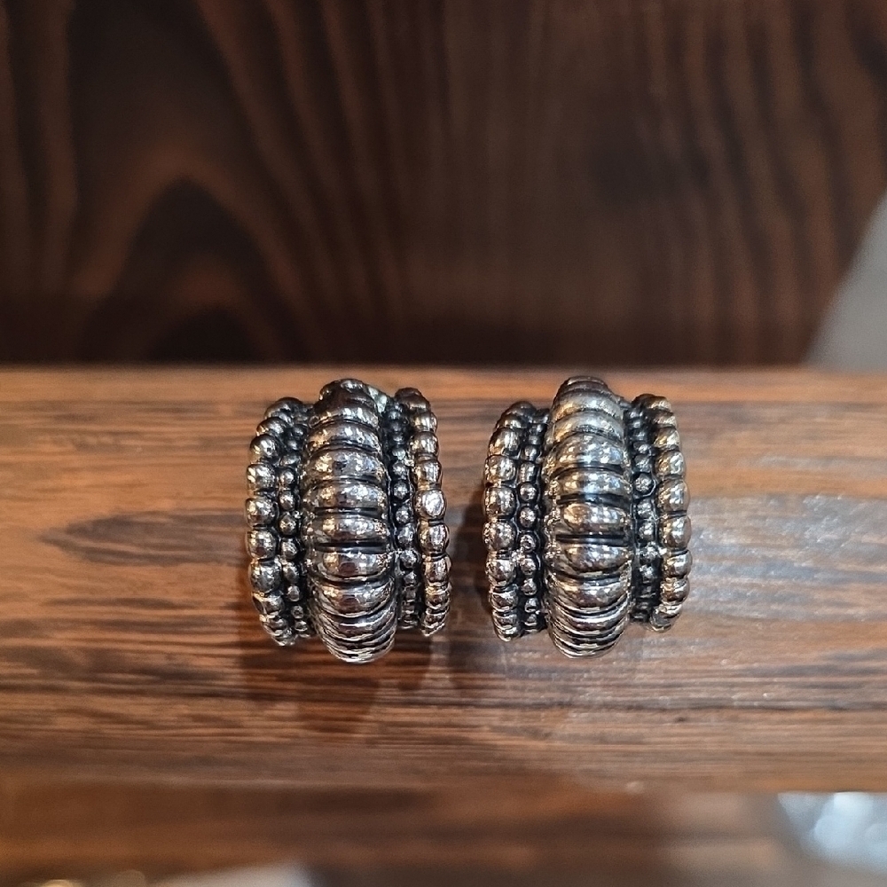 Elegant Silver Women's Earrings